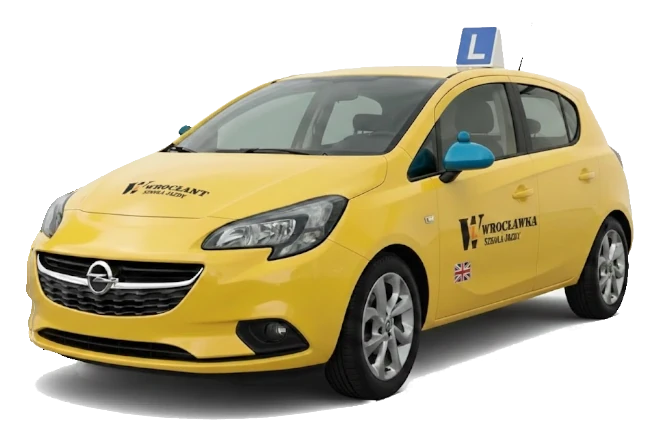 Driving-licence-B-in-english